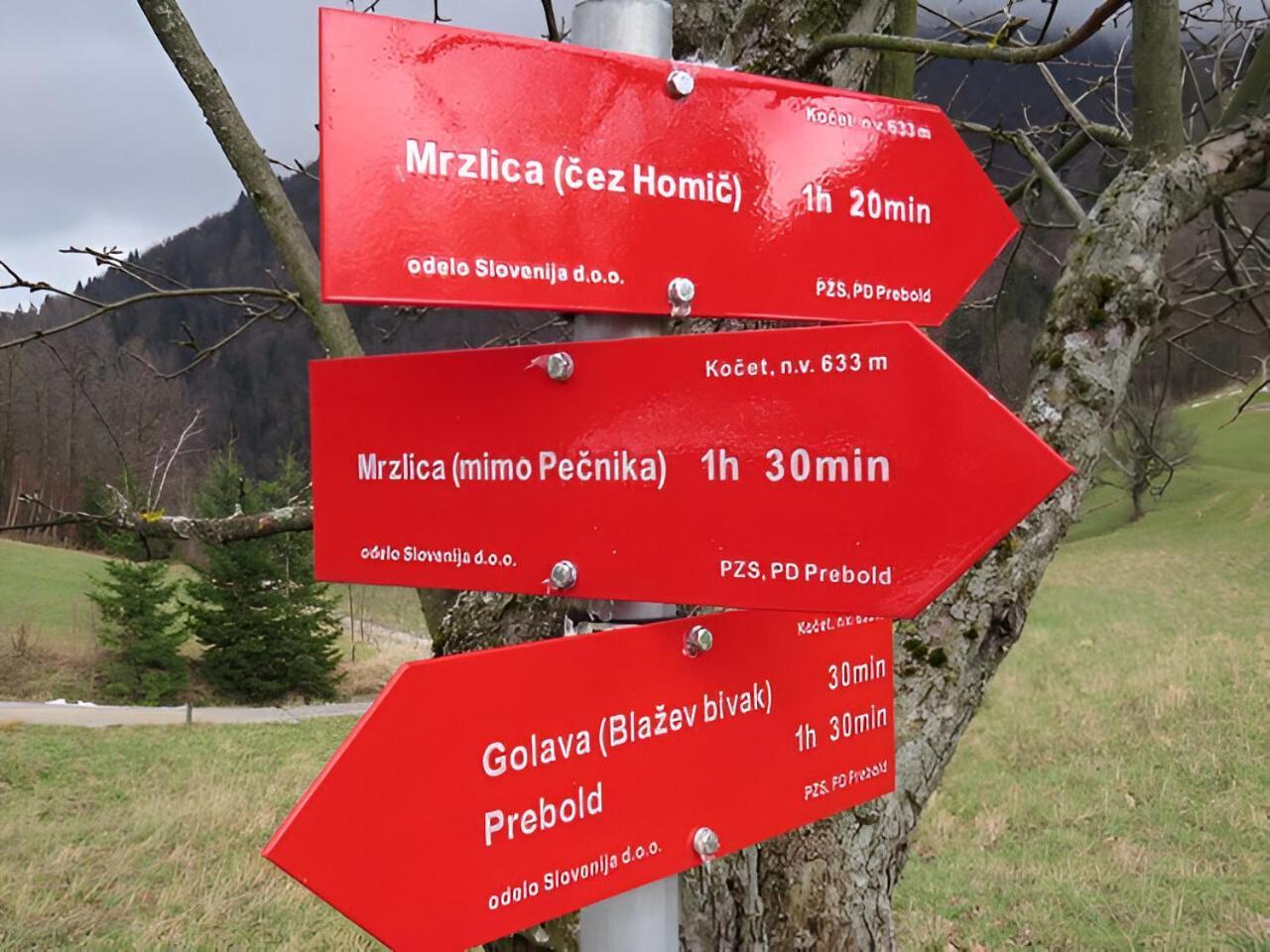 Petrovče Bed & Breakfast Dvorec المظهر الخارجي الصورة